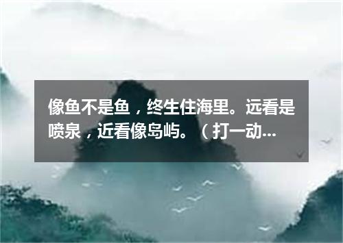 像鱼不是鱼，终生住海里。远看是喷泉，近看像岛屿。（打一动物）