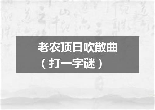 老农顶日吹散曲（打一字谜）