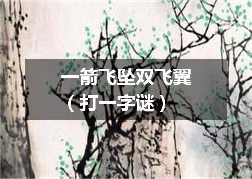 一箭飞坠双飞翼（打一字谜）