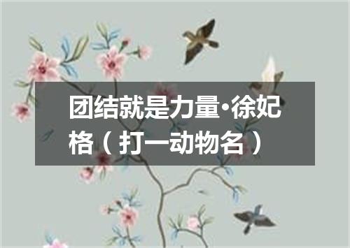 团结就是力量·徐妃格（打一动物名）