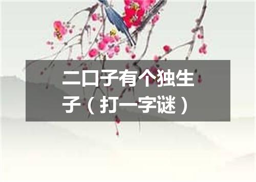 二口子有个独生子（打一字谜）