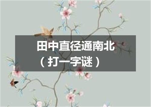 田中直径通南北（打一字谜）