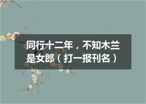 同行十二年，不知木兰是女郎（打一报刊名）