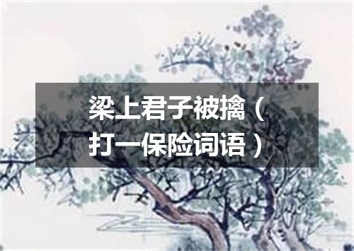 梁上君子被擒（打一保险词语）