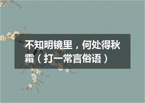 不知明镜里，何处得秋霜（打一常言俗语）