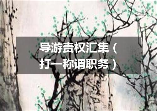 导游责权汇集（打一称谓职务）