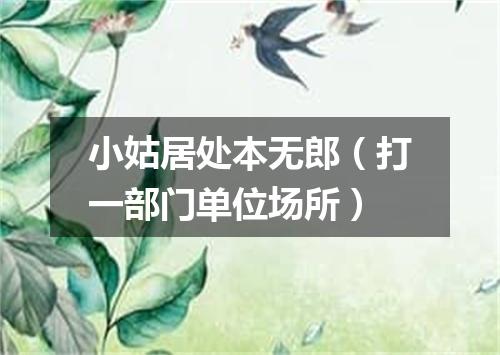 小姑居处本无郎（打一部门单位场所）