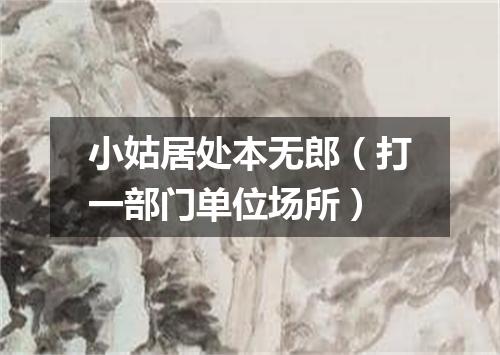 小姑居处本无郎（打一部门单位场所）