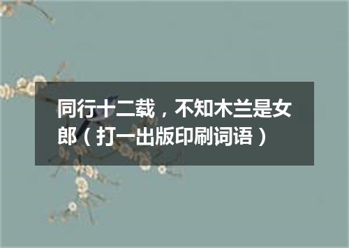 同行十二载，不知木兰是女郎（打一出版印刷词语）