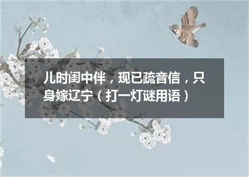 儿时闺中伴，现已疏音信，只身嫁辽宁（打一灯谜用语）