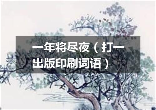 一年将尽夜（打一出版印刷词语）