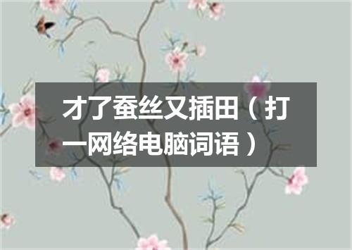 才了蚕丝又插田（打一网络电脑词语）