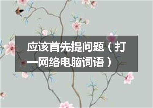 应该首先提问题（打一网络电脑词语）