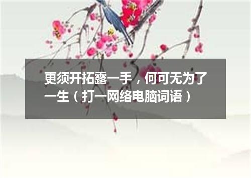 更须开拓露一手，何可无为了一生（打一网络电脑词语）