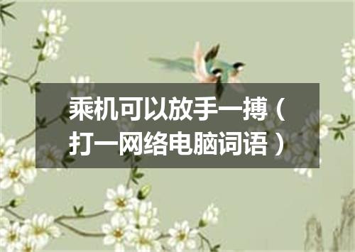 乘机可以放手一搏（打一网络电脑词语）