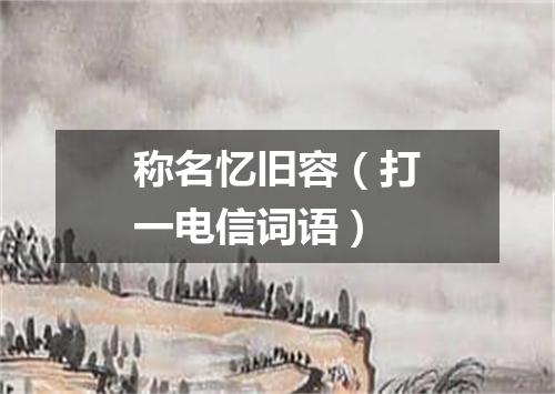 称名忆旧容（打一电信词语）