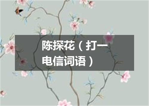 陈探花（打一电信词语）