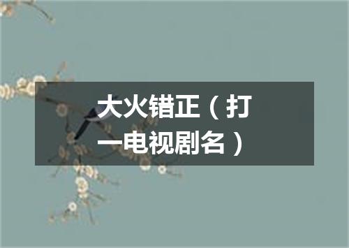 大火错正（打一电视剧名）