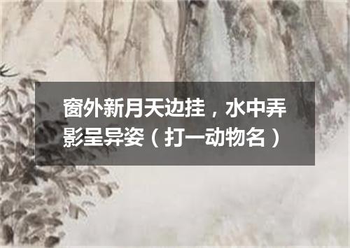 窗外新月天边挂，水中弄影呈异姿（打一动物名）