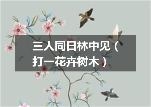 三人同日林中见（打一花卉树木）