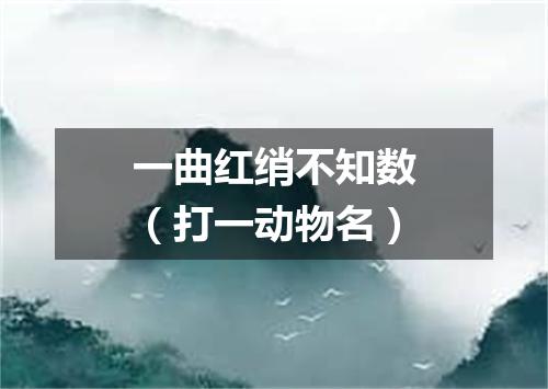 一曲红绡不知数（打一动物名）