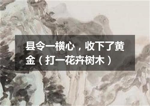 县令一横心，收下了黄金（打一花卉树木）