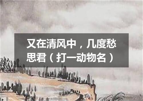 又在清风中，几度愁思君（打一动物名）