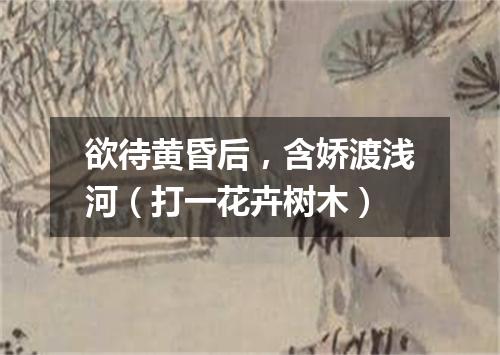 欲待黄昏后，含娇渡浅河（打一花卉树木）