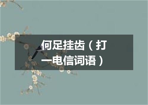 何足挂齿（打一电信词语）