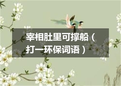 宰相肚里可撑船（打一环保词语）