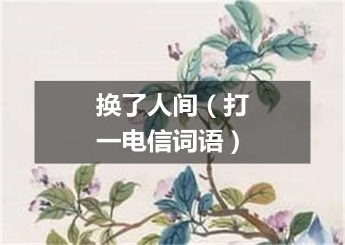 换了人间（打一电信词语）