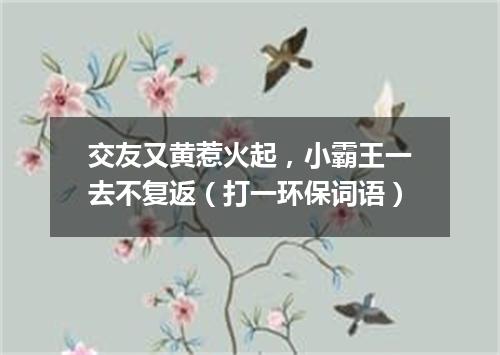 交友又黄惹火起，小霸王一去不复返（打一环保词语）