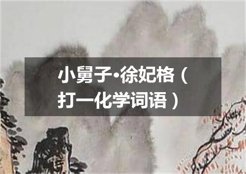 小舅子·徐妃格（打一化学词语）