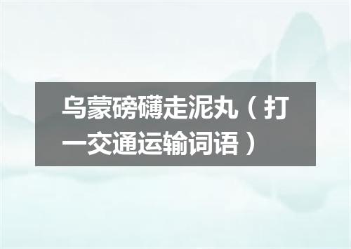 乌蒙磅礴走泥丸（打一交通运输词语）