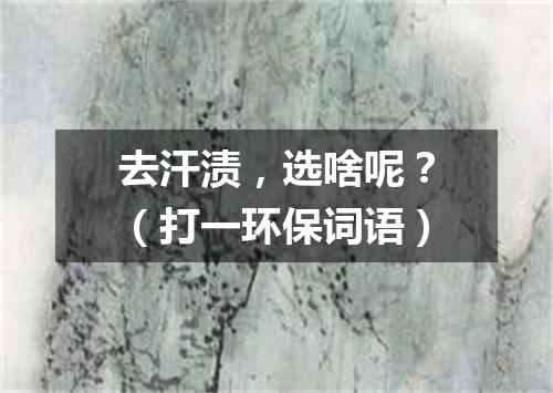 去汗渍，选啥呢？（打一环保词语）