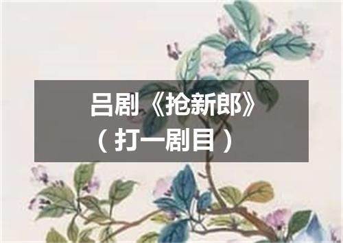 吕剧《抢新郎》（打一剧目）