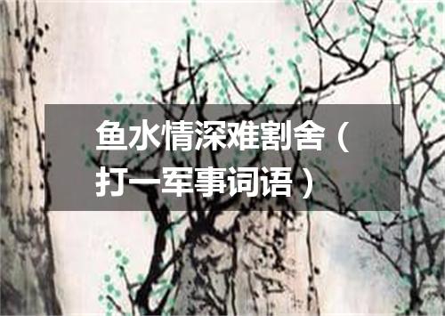 鱼水情深难割舍（打一军事词语）