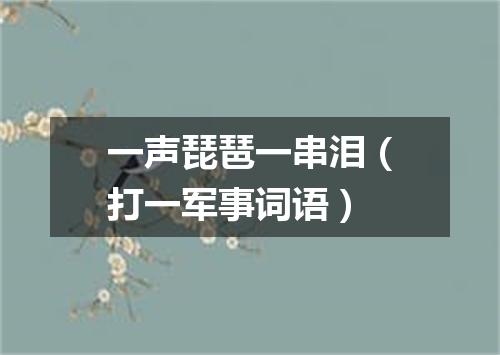 一声琵琶一串泪（打一军事词语）