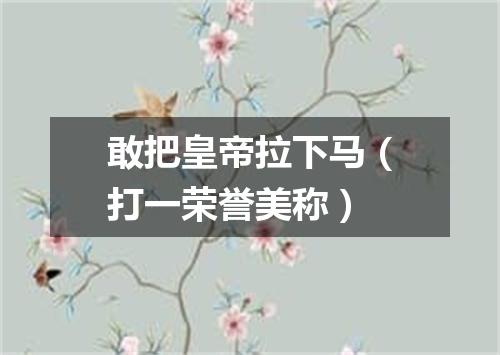 敢把皇帝拉下马（打一荣誉美称）