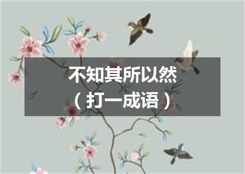 不知其所以然（打一成语）