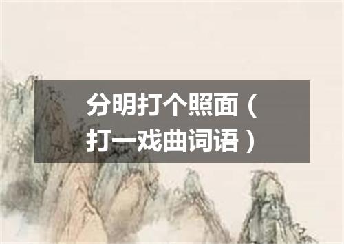 分明打个照面（打一戏曲词语）