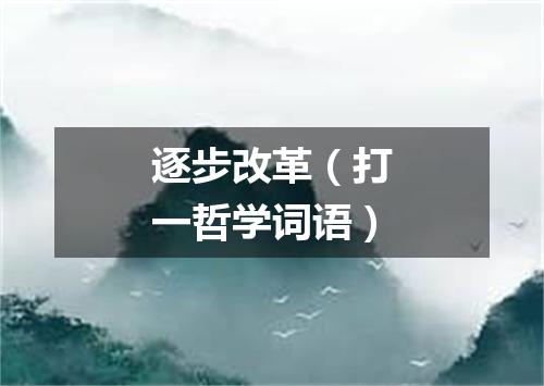 逐步改革（打一哲学词语）