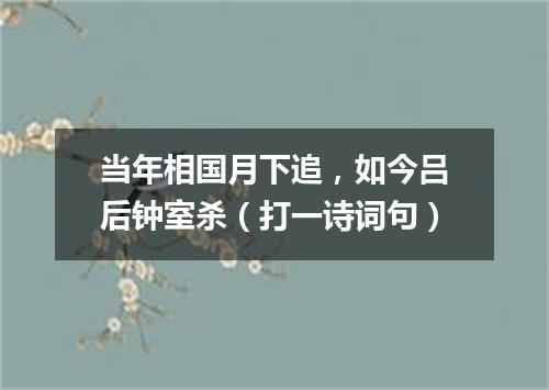 当年相国月下追，如今吕后钟室杀（打一诗词句）