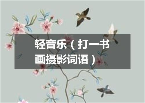 轻音乐（打一书画摄影词语）