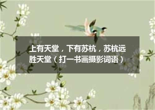 上有天堂，下有苏杭，苏杭远胜天堂（打一书画摄影词语）