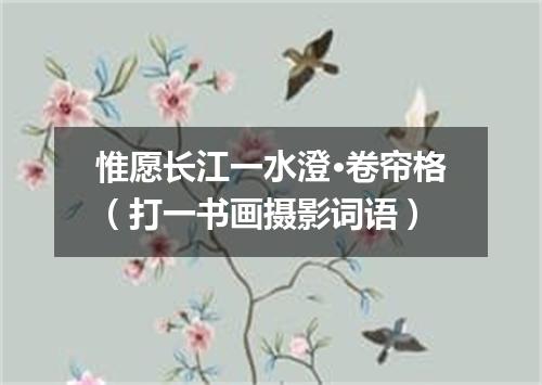 惟愿长江一水澄·卷帘格（打一书画摄影词语）