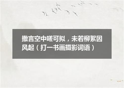 撒言空中嗟可拟，未若柳絮因风起（打一书画摄影词语）