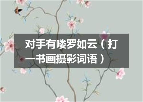 对手有喽罗如云（打一书画摄影词语）