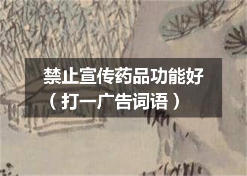 禁止宣传药品功能好（打一广告词语）