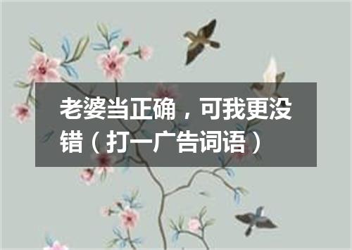 老婆当正确，可我更没错（打一广告词语）